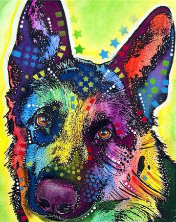 Star Dog
