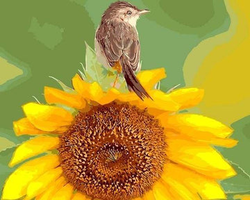 Sunflower and Bird
