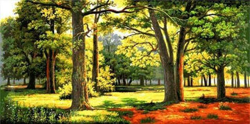 Sunny Forest