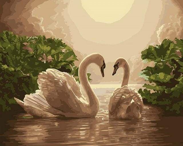 Swans at Sunset