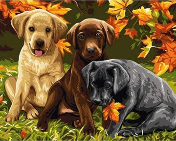 Three Dogs