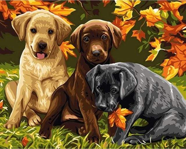 Three Dogs