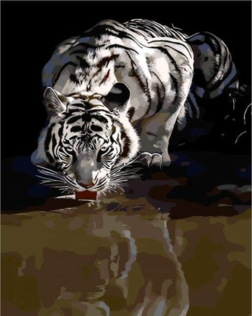 Tiger Reflection