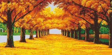Trees and Sunshine