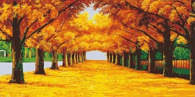 Trees and Sunshine