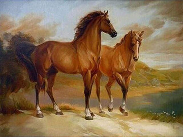 Two Horses by the Water