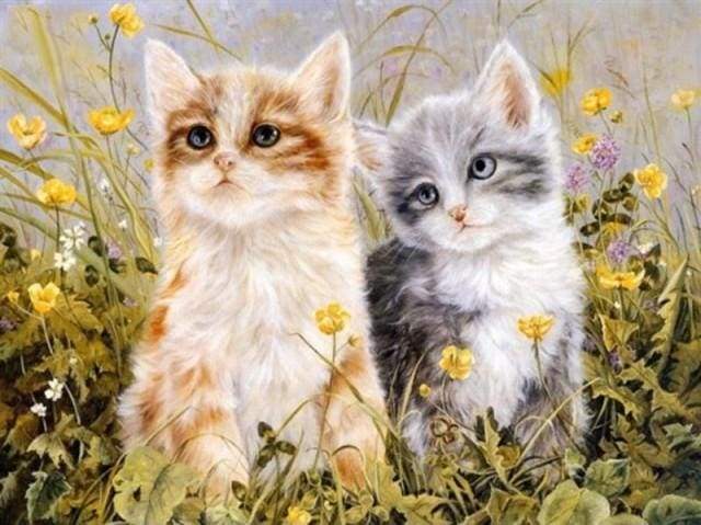 Two Kittens