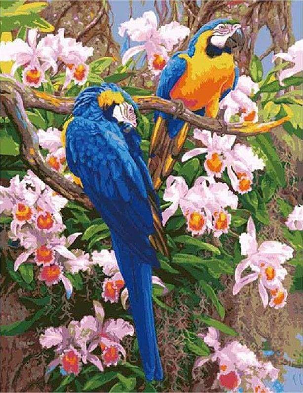 Two Parrots