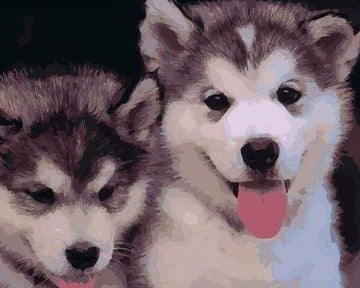 Two Puppies