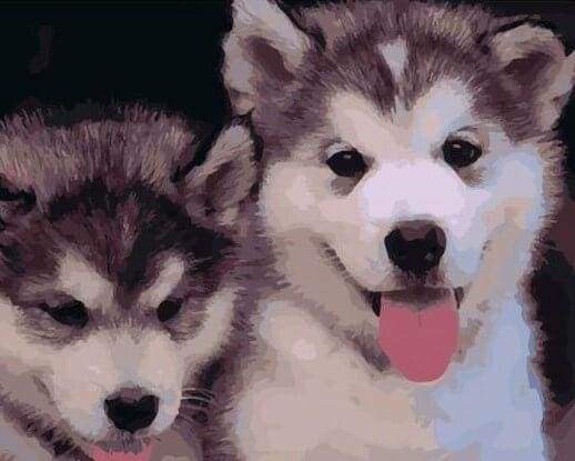 Two Puppies