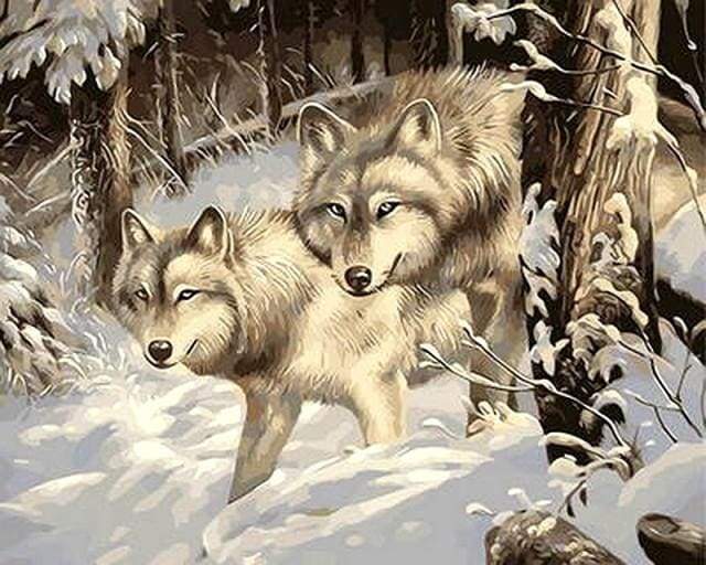 Two Wolves in the Snow