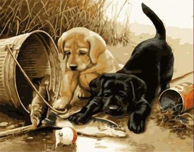 Two dogs playing