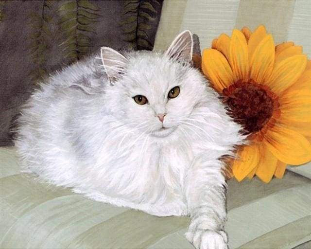 White Cat and Sunflower