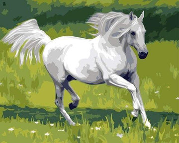White Horse in the Field