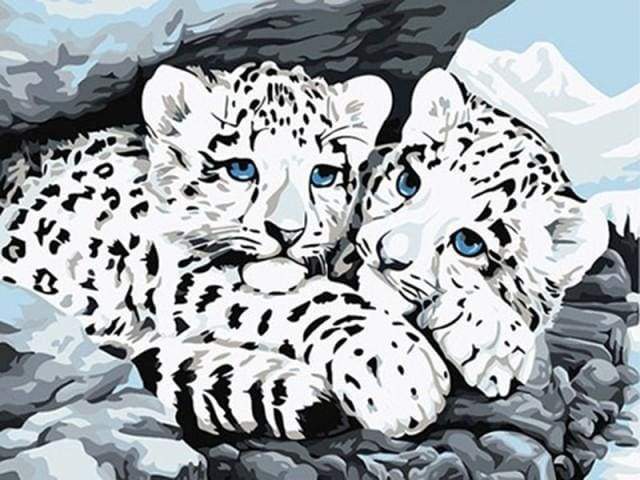 White Leopards