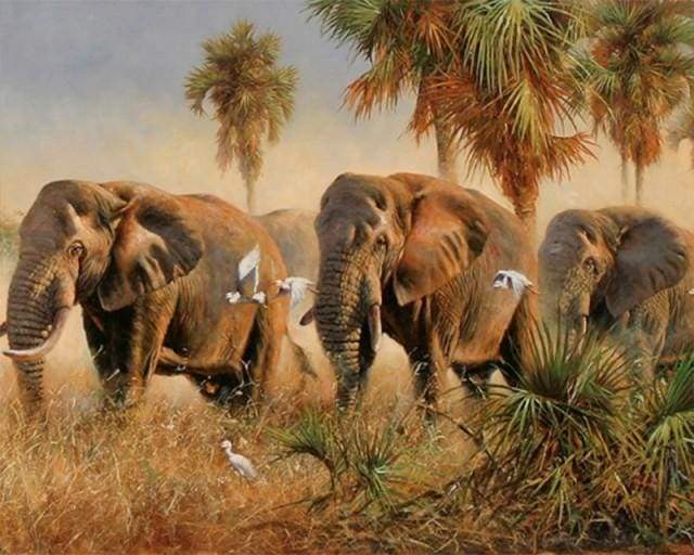 Wild elephants