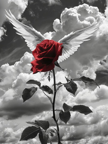 Winged Rose