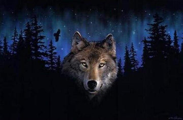 Wolf at Night