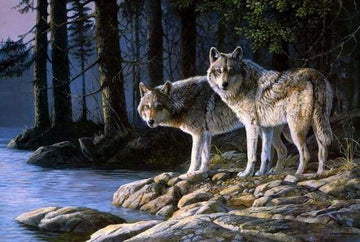 Wolves in the Forest